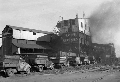 1950
Site
Solomon Colors
