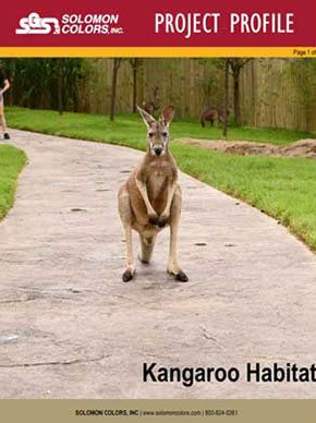 Kangaroo-Habitat
Site
Solomon Colors
